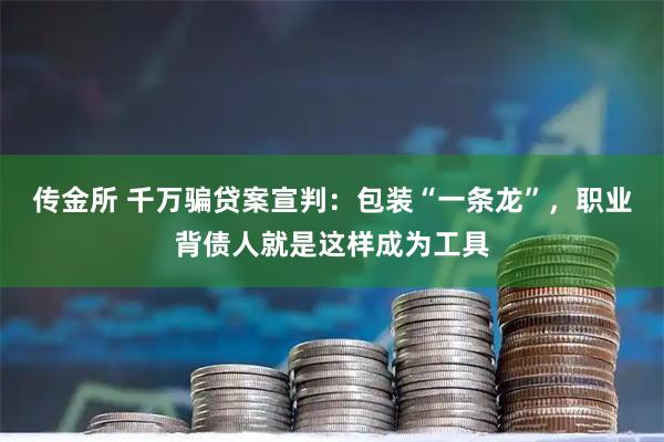 传金所 千万骗贷案宣判：包装“一条龙”，职业背债人就是这样成为工具