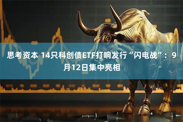思考资本 14只科创债ETF打响发行“闪电战”：9月12日集中亮相