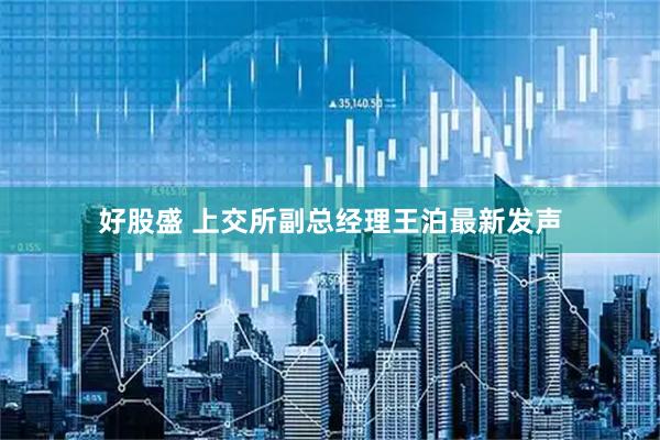 好股盛 上交所副总经理王泊最新发声