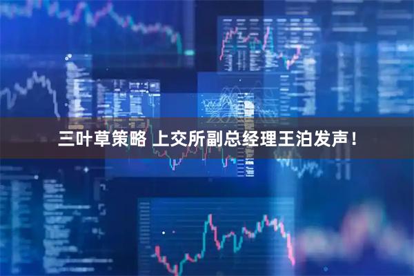 三叶草策略 上交所副总经理王泊发声！