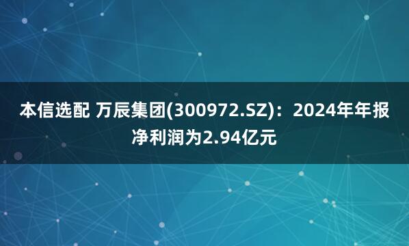 本信选配 万辰集团(300972.SZ)：2024年年报净利润为2.94亿元