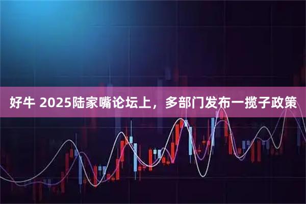 好牛 2025陆家嘴论坛上，多部门发布一揽子政策