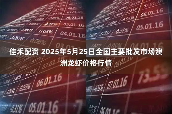 佳禾配资 2025年5月25日全国主要批发市场澳洲龙虾价格行情