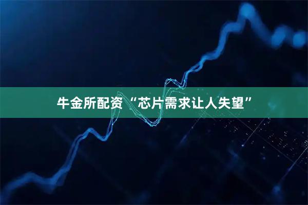 牛金所配资 “芯片需求让人失望”