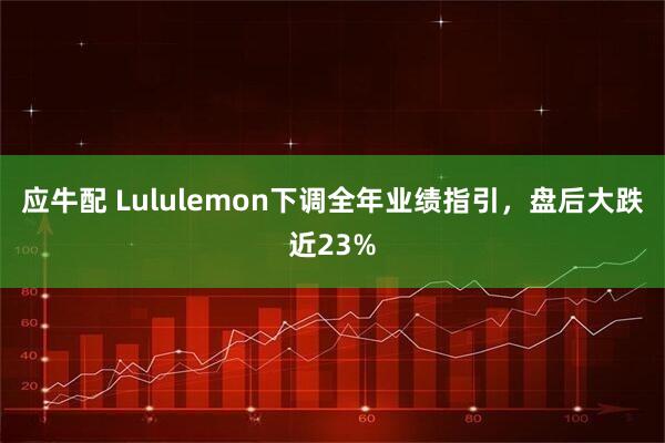 应牛配 Lululemon下调全年业绩指引，盘后大跌近23%