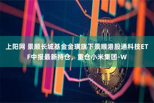 上阳网 景顺长城基金金璜旗下景顺港股通科技ETF中报最新持仓，重仓小米集团-W