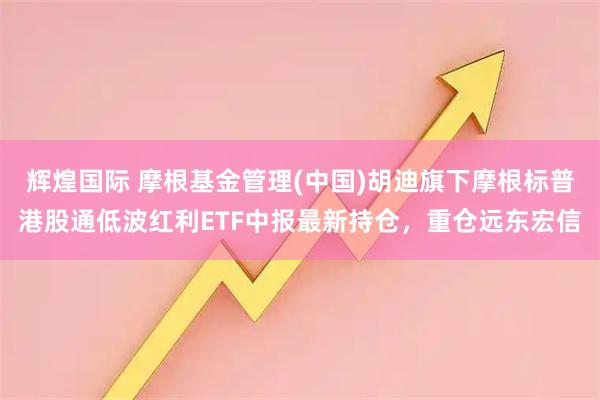 辉煌国际 摩根基金管理(中国)胡迪旗下摩根标普港股通低波红利ETF中报最新持仓，重仓远东宏信