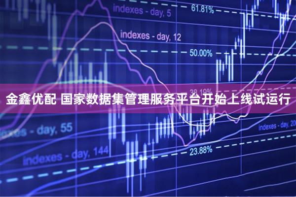 金鑫优配 国家数据集管理服务平台开始上线试运行